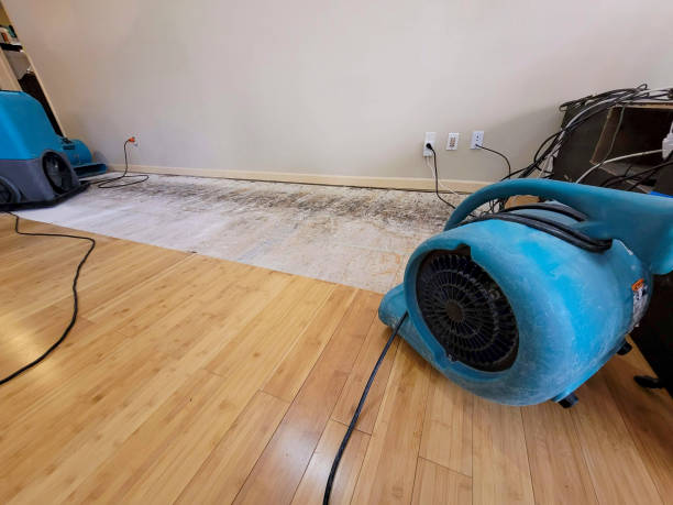 Professional Structural Drying technician working in Kearney, MO